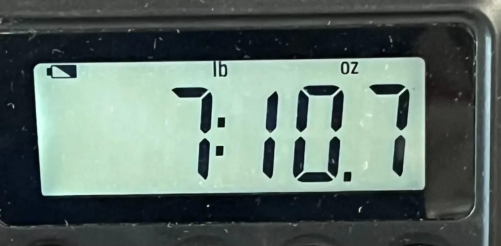 Изображение №8