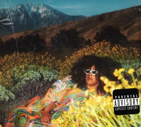 BRITTANY HOWARD - What Now (CD)