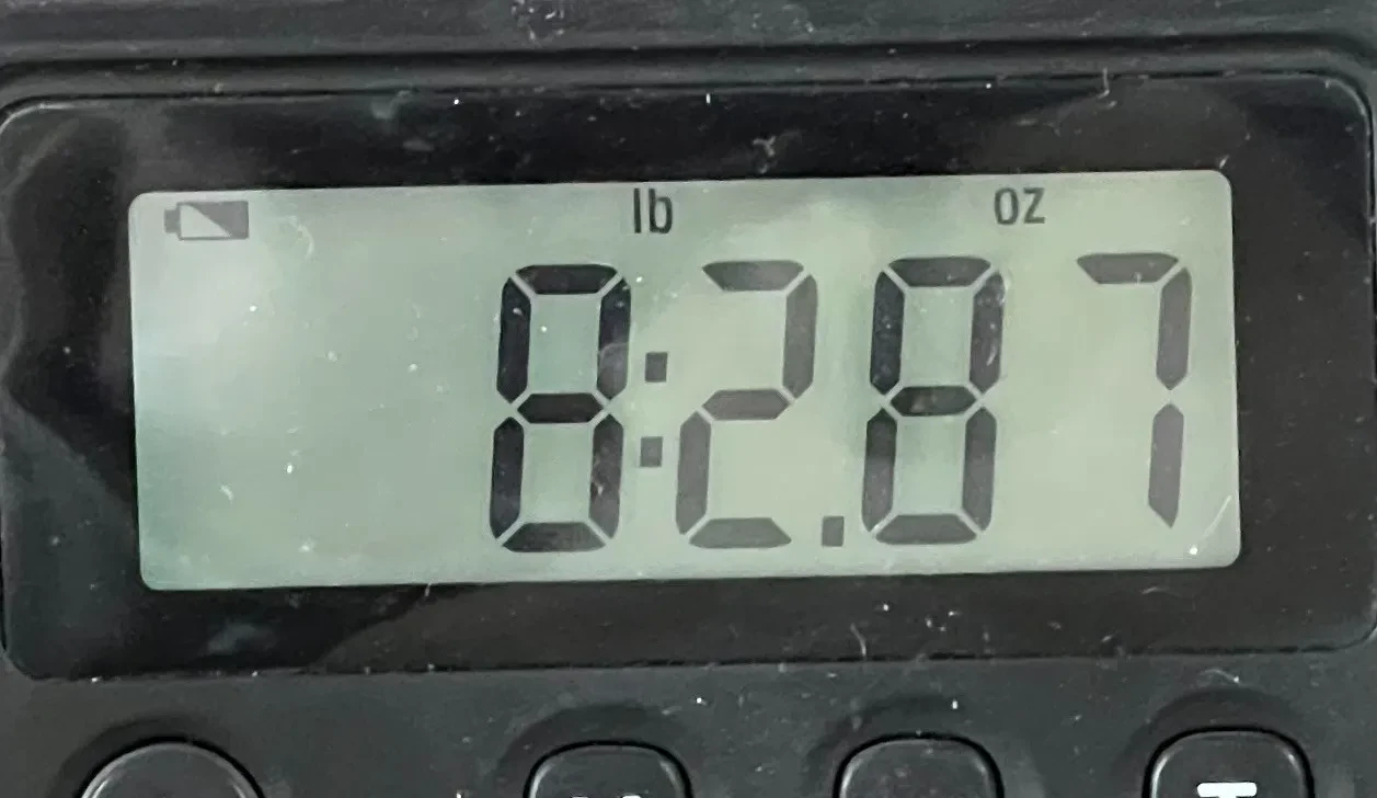 Изображение №8