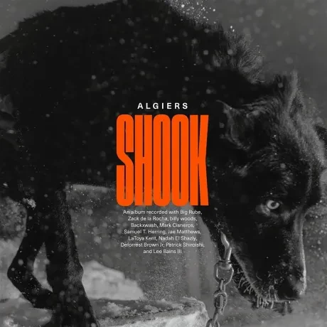 Виниловая пластинка Algiers – Shook