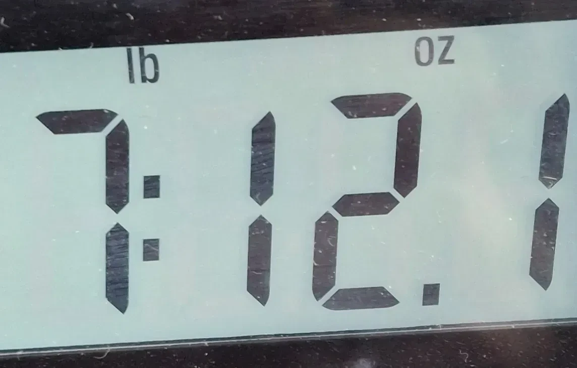 Изображение №8