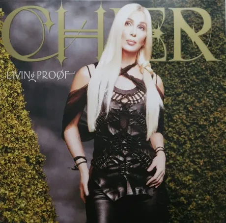 Виниловая пластинка Cher – Living Proof