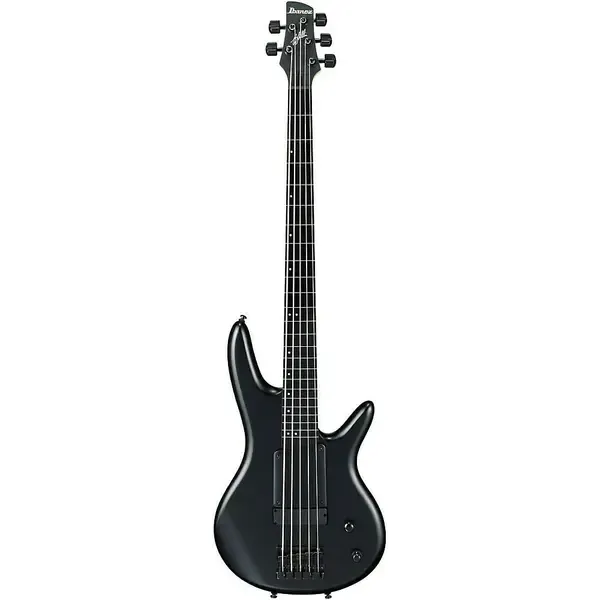 Бас-гитара Ibanez GWB35 Gary Willis Signature Fretless 5-String Bass Flat Black