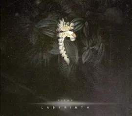 PLЕМЯ - Labyrinth (CD, Digipak)