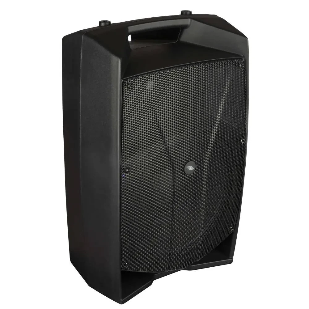 Активная акустическая система PROEL V15PRO 600W 15" DSP