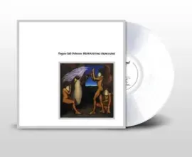 Виниловая пластинка The Penguin Cafe Orchestra – Broadcasting From Home Релиз 1984