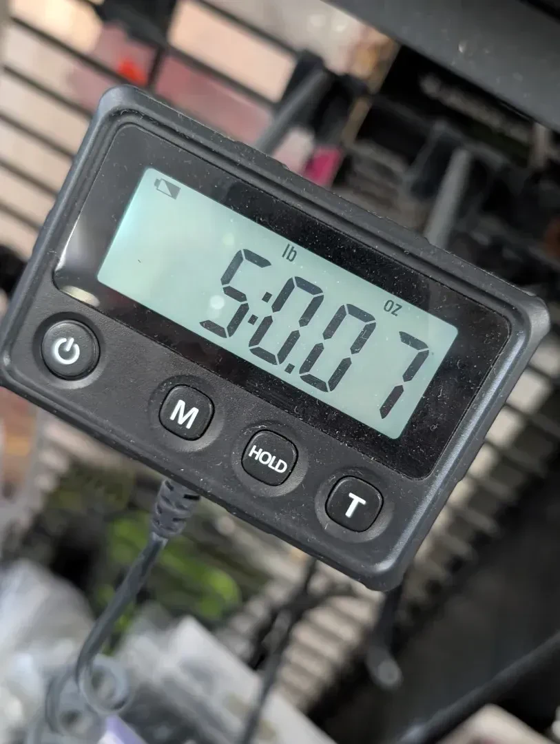 Изображение №12