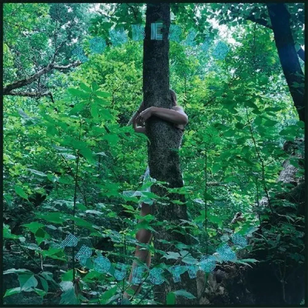 Tomberlin - Projections [Picture Disc] NEW Sealed Vinyl LP Album