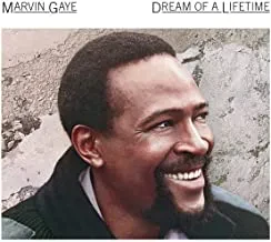 MARVIN GAYE - Dream Of A Lifetime (CD)