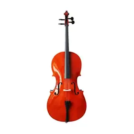 Виолончель Seasound JYC00 1/2