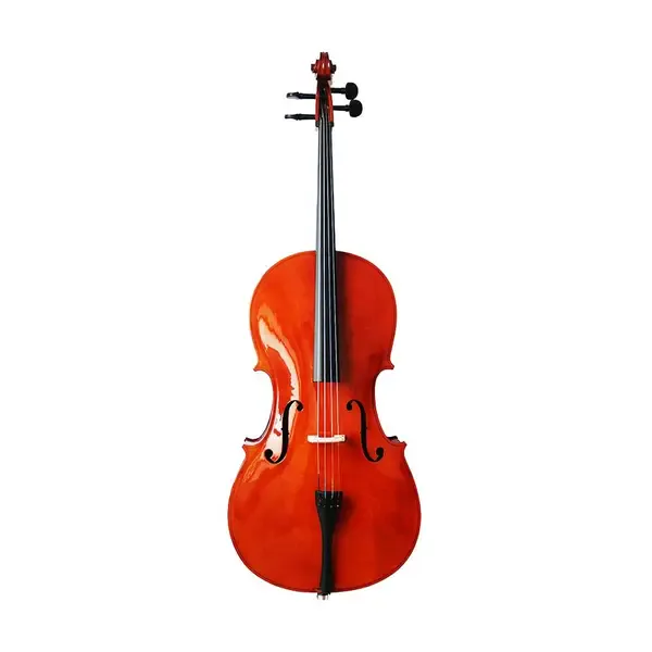 Виолончель Seasound JYC00 1/2