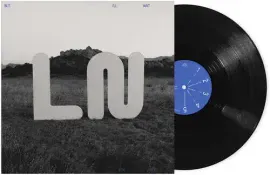 Виниловая пластинка Local Natives – But I'll Wait For You (Релиз 2024)