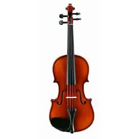 Скрипка Alina Pro 4/4 AVD85S
