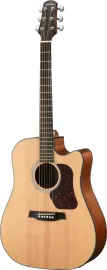 WALDEN D550CE Natura Dreadnought Elektro-Akustik