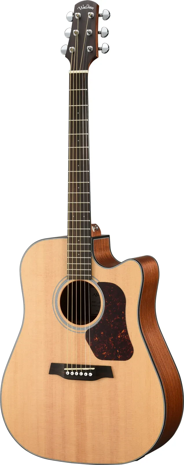 WALDEN D550CE Natura Dreadnought Elektro-Akustik