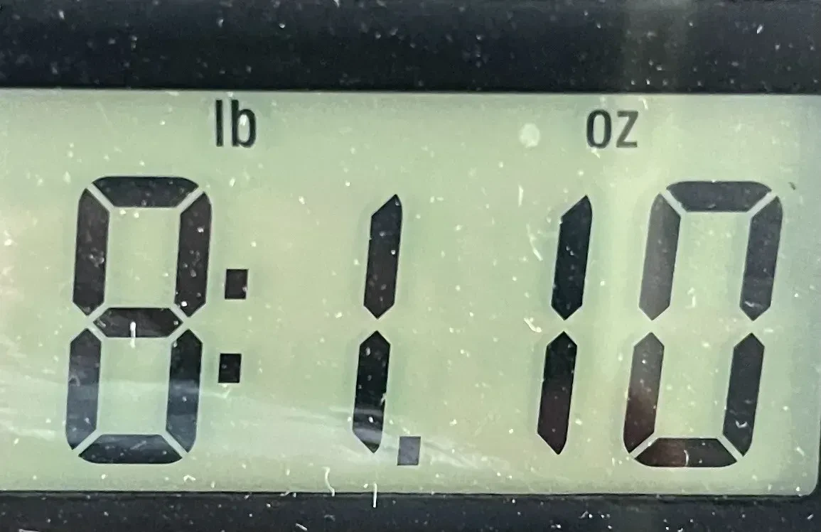 Изображение №10