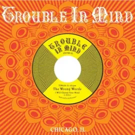 Виниловая пластинка The Wrong Words – I Will Change Your Mind (Релиз 2012)
