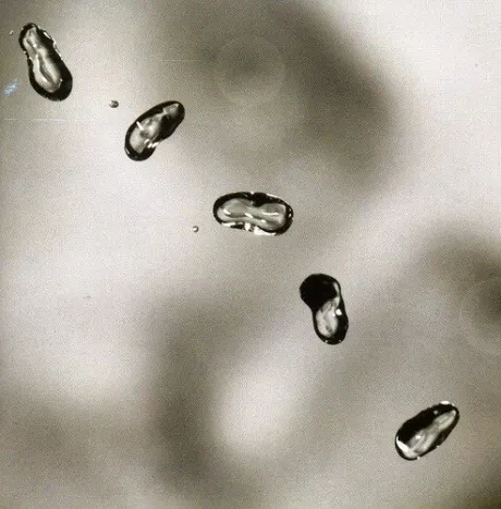 PETER GABRIEL - Up (CD)