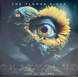 Виниловая пластинка The Flower Kings – Look At You Now