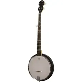 Банджо Gold Tone AC-5 Composite Resonator 5-String Banjo Maple