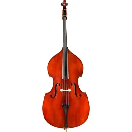 Eastman VB95GR Samuel Eastman Hybrid Series Student Double Bass Outfit 14