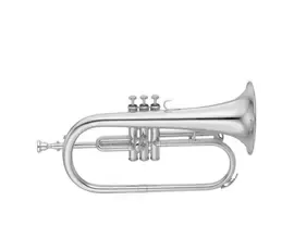 Флюгельгорн Bb KING 650SP