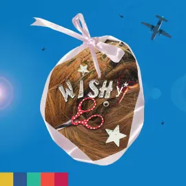 Виниловая пластинка Wishy – Paradise on Planet Popstar (Релиз 2025)