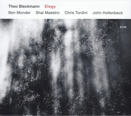 THEO BLECKMANN - Theo Bleckmann: Elegy (CD)