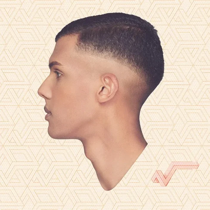 Виниловая пластинка Racine Carrée- Mosaert, Island France, Mercury Music Group, Universal Music France