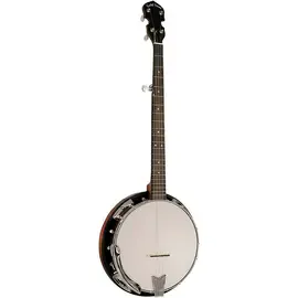 Банджо Gold Tone Cripple Creek Resonator Banjo w Planetary Tuners & Gig Bag Vint Brown