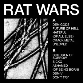 Виниловая пластинка Health – Rat Wars Релиз 2025
