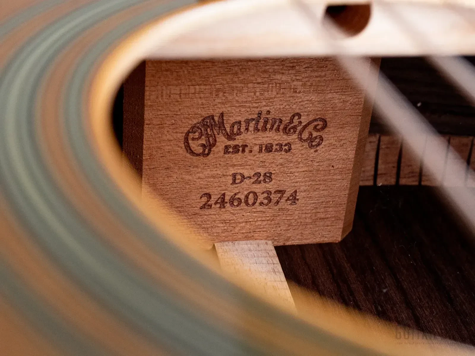 Изображение №6