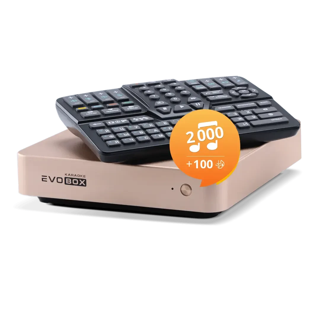 Караоке система Evolution EVOBOX Gold