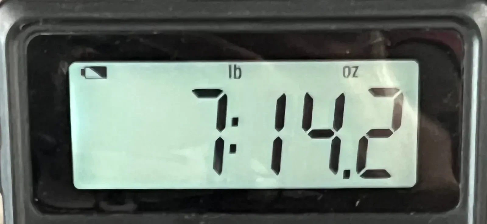 Изображение №8