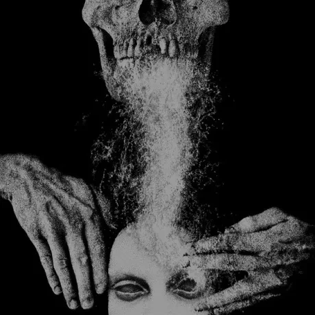 CHAOS ECHOES - A Voiceless Ritual (LP , Used)