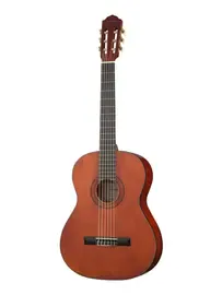 Классическая гитара Naranda CG220-3/4
