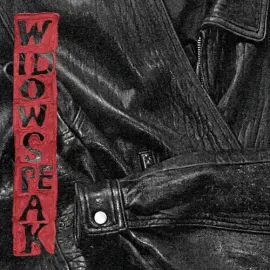 Виниловая пластинка Widowspeak - Jacket [New Vinyl LP]