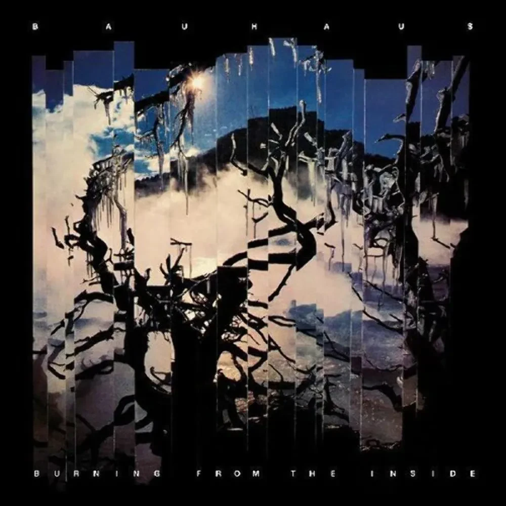 Bauhaus - Burning From The Inside NEW Sealed Vinyl