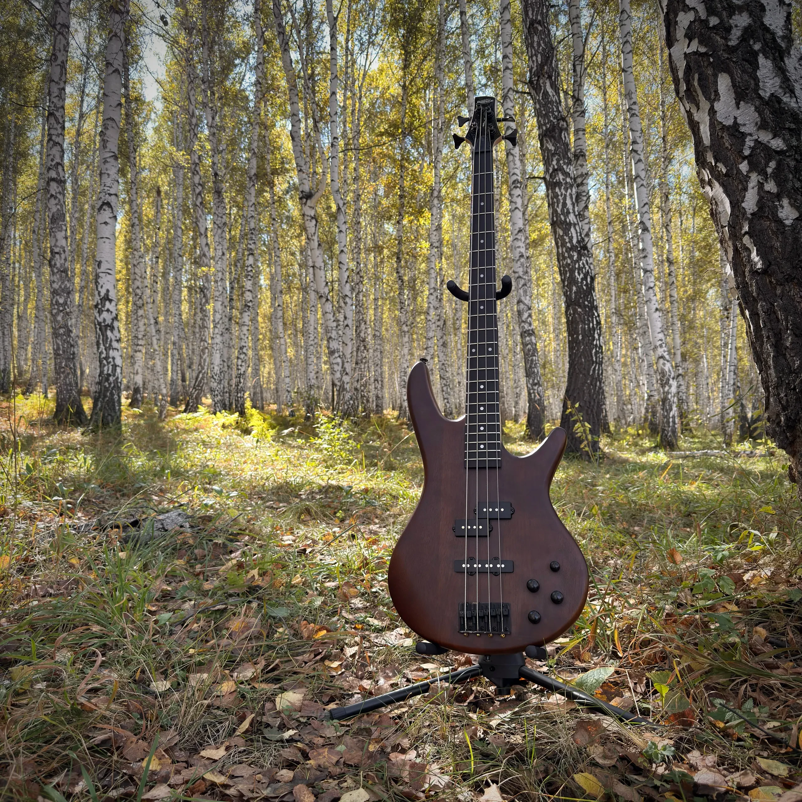 Бас-гитара Ibanez Gio GSR200B Walnut Flat