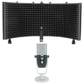 AKG ARA C22 USB Condenser Microphone+Stand+Shield For Recording/Podcast/Gamer