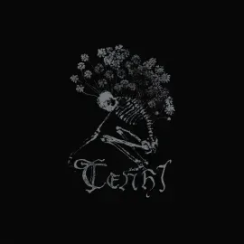 Виниловая пластинка Tenhi - Collected Works 2023 [New Vinyl LP] Black, Ltd Ed, Boxed Set