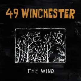 Виниловая пластинка 49 Winchester – Wind (Релиз 2025)