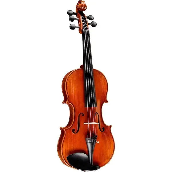 Скрипка Bellafina Violina 5-string Violin Outfit 16 In