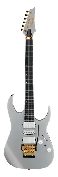 Электрогитара Ibanez Prestige RG5170G Silver Flat