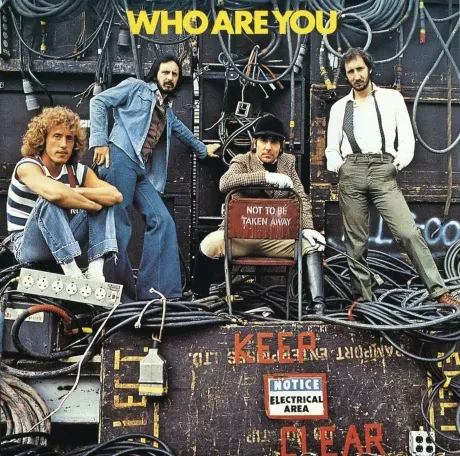 Виниловая пластинка THE WHO – Who Are You