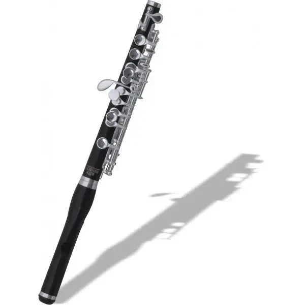 Флейта Roy Benson PC-602