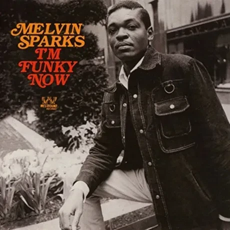 MELVIN SPARKS - I'm Funky Now (CD)