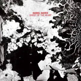 Виниловая пластинка Daniel Davies – Ghost of the Heart 2024