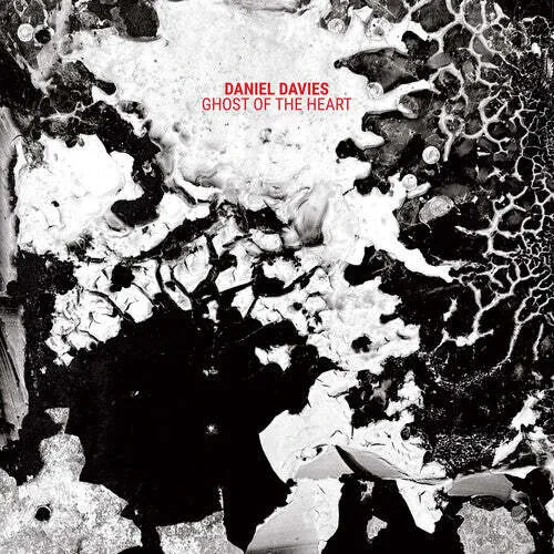 Виниловая пластинка Daniel Davies – Ghost of the Heart 2024