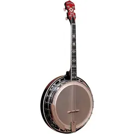 Банджо Gold Tone IT-250F 4-String Irish Tenor Resonator Banjo